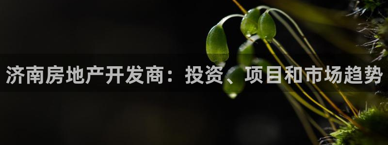万向娱乐王者荣耀