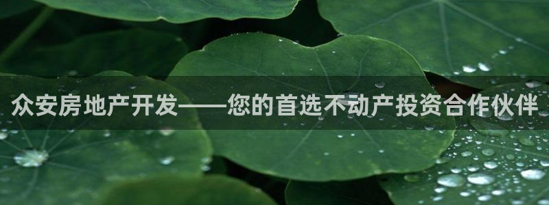 万向娱乐下载