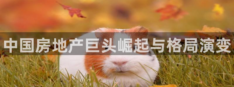 万向娱乐灯333OO