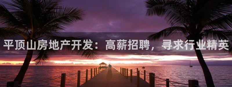 万向娱乐平台代理多少钱