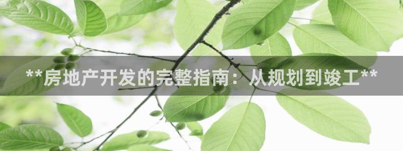 万向娱乐平台代理怎么做赚钱