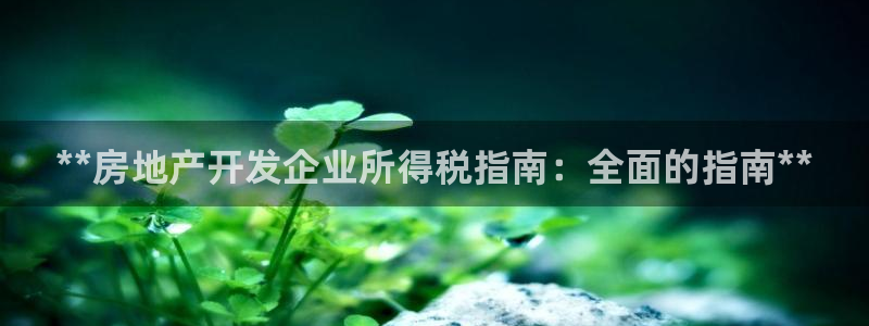 万向娱乐的494o3 主管