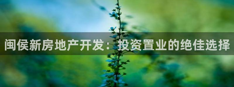 万向娱乐老板