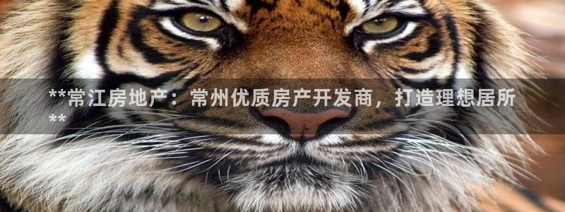 万能娱乐代理网址