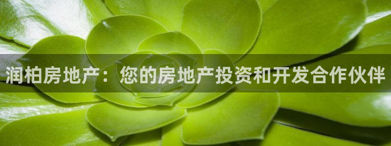 万向娱乐下载