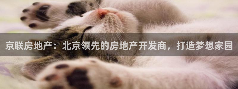 万向娱乐的494o3 主管