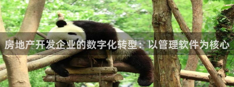 万向娱乐官网