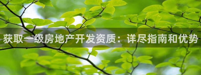 万向娱乐平台代理怎么做赚钱