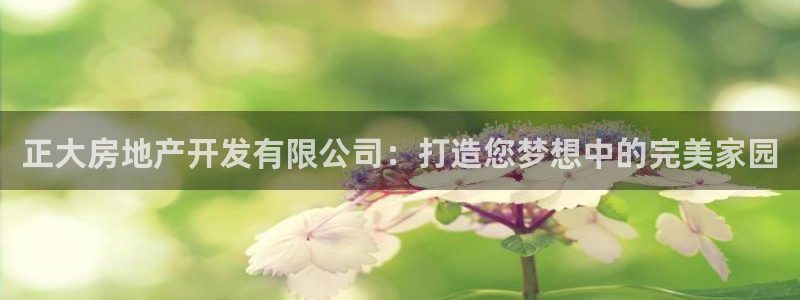 万向娱乐平台好不