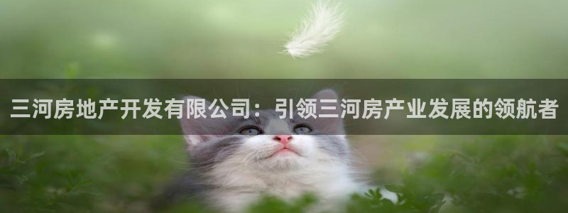 万向娱乐下载