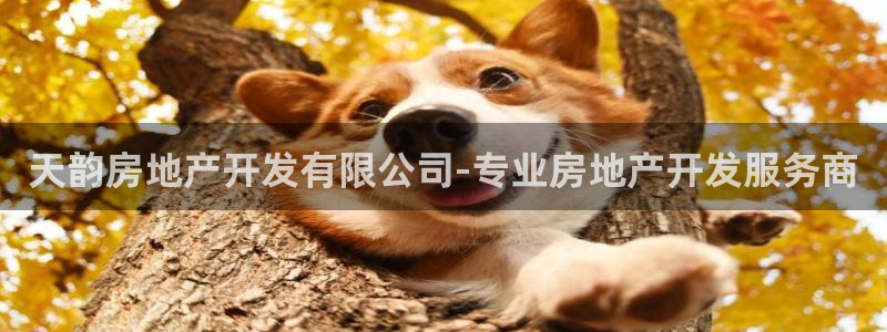 万向娱乐平台代理多少钱一个