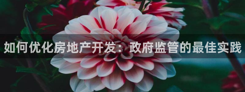 万能娱乐平台直招代理