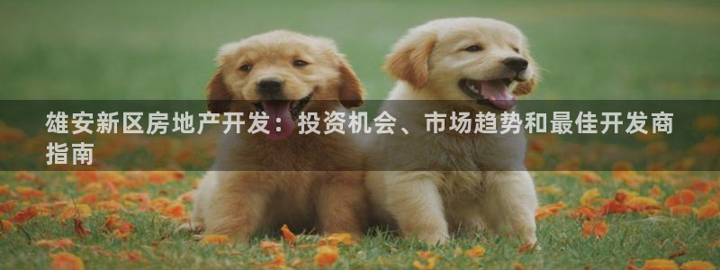万能娱乐代理网址
