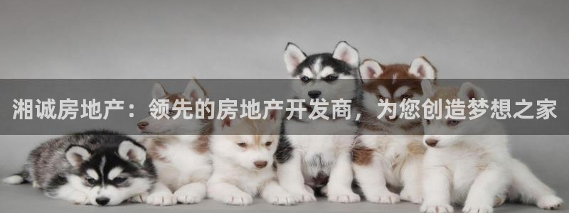 万向娱乐登陆