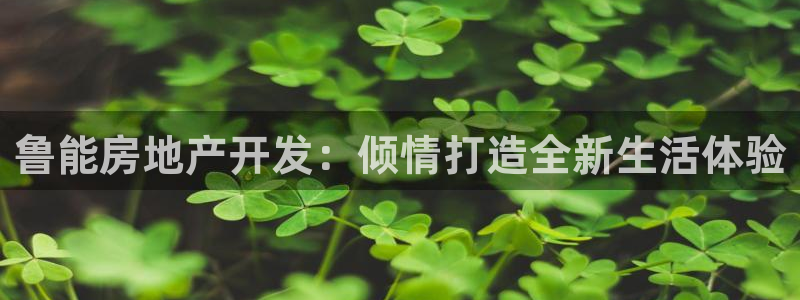 万向娱乐挂机软件