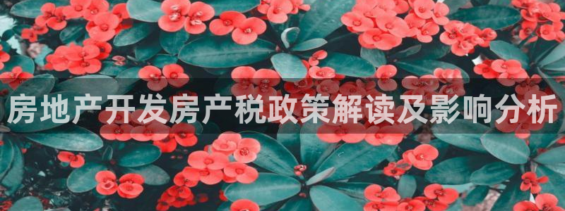 万向娱乐代理好看视频是真的吗