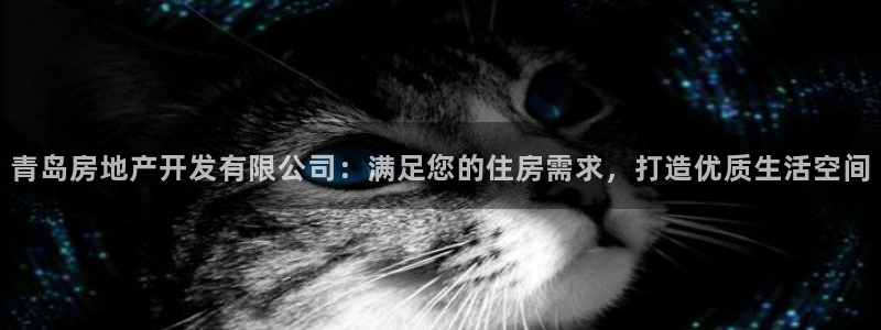 万向娱乐平台代理多少钱
