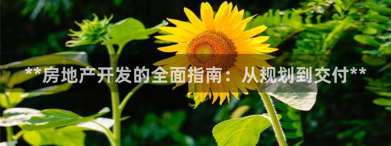 万向娱乐登陆官网入口