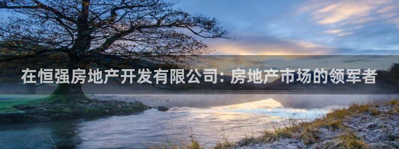 万向娱乐官网网址是什么